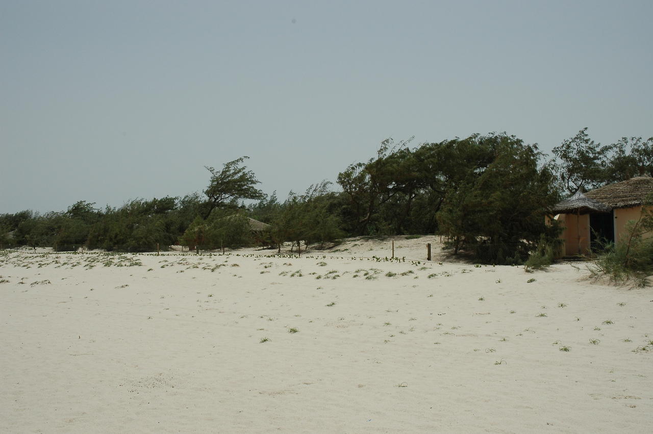 Diamarek Hotel Sur La Plage Saint-Louis Buitenkant foto